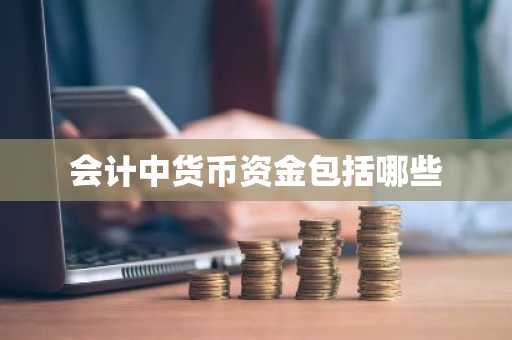会计中货币资金包括哪些