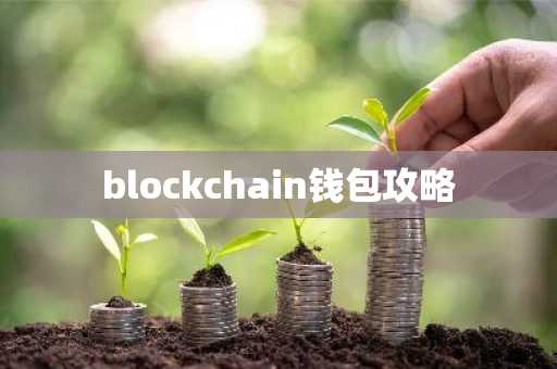 blockchain钱包攻略