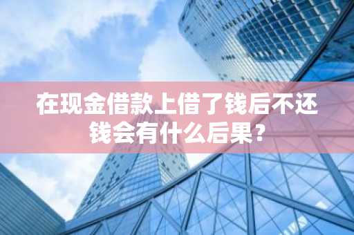 在现金借款上借了钱后不还钱会有什么后果？