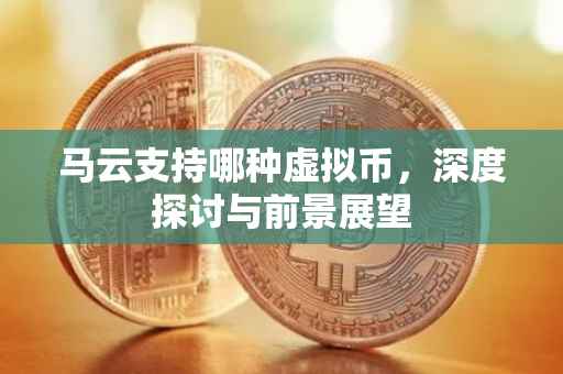马云支持哪种虚拟币，深度探讨与前景展望