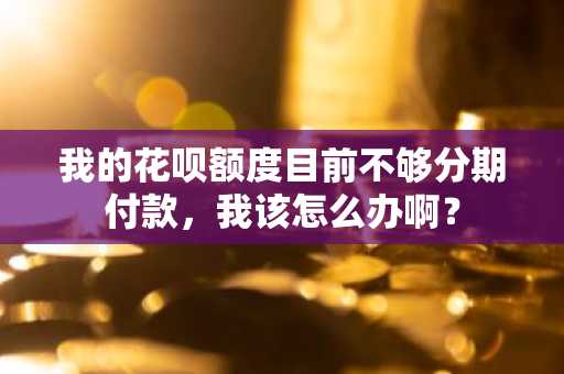 我的花呗额度目前不够分期付款，我该怎么办啊？