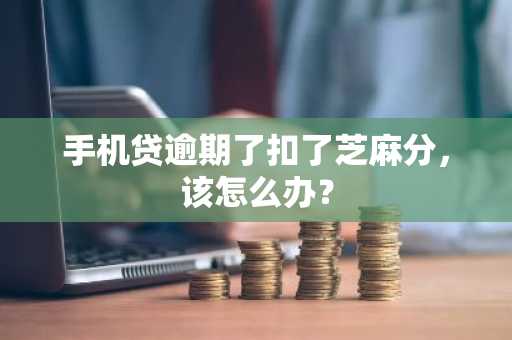 手机贷逾期了扣了芝麻分，该怎么办？