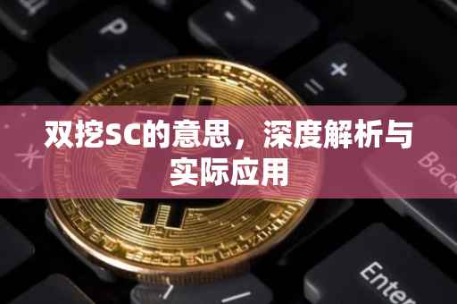 双挖SC的意思，深度解析与实际应用