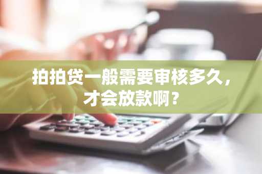 拍拍贷一般需要审核多久，才会放款啊？