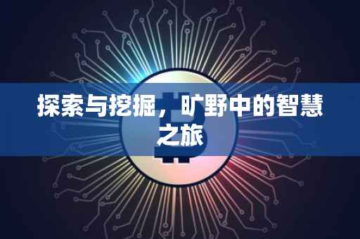 探索与挖掘，旷野中的智慧之旅