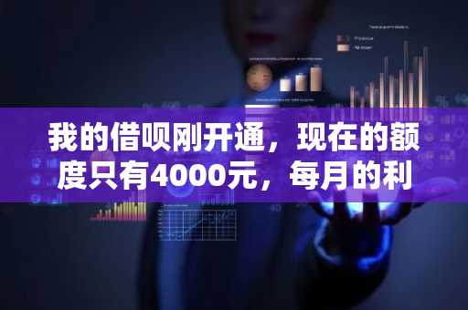 我的借呗刚开通，现在的额度只有4000元，每月的利息是多少啊？
