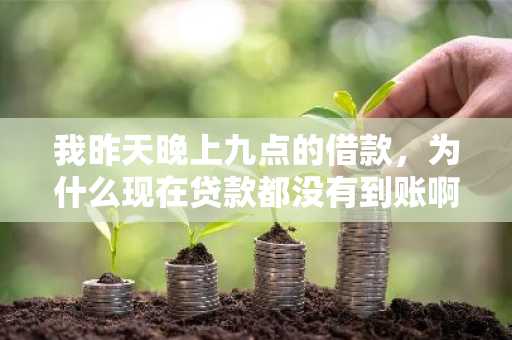 我昨天晚上九点的借款，为什么现在贷款都没有到账啊？