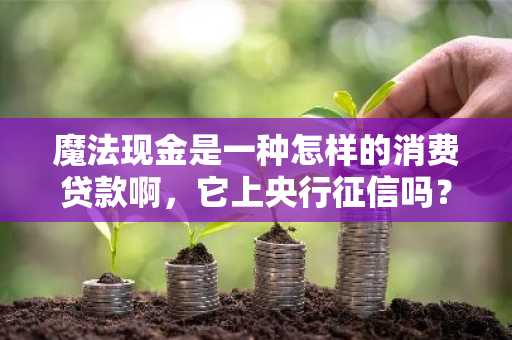 魔法现金是一种怎样的消费贷款啊，它上央行征信吗？