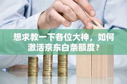 想求教一下各位大神，如何激活京东白条额度？