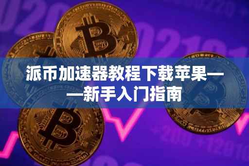 派币加速器教程下载苹果——新手入门指南