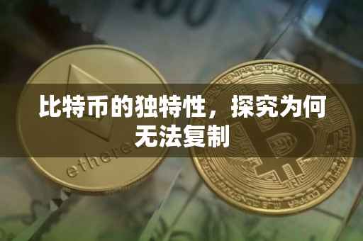 比特币的独特性，探究为何无法复制