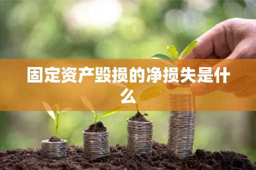 固定资产毁损的净损失是什么