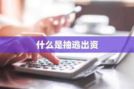 什么是抽逃出资