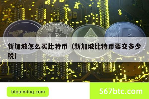 新加坡怎么买比特币（新加坡比特币要交多少税）