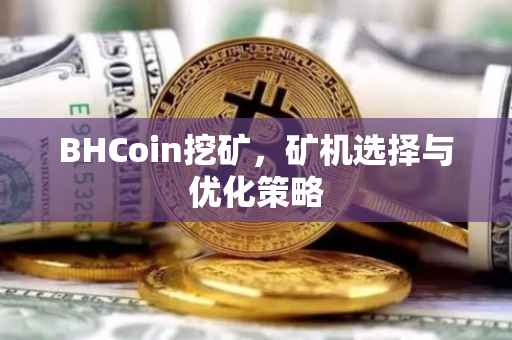BHCoin挖矿，矿机选择与优化策略
