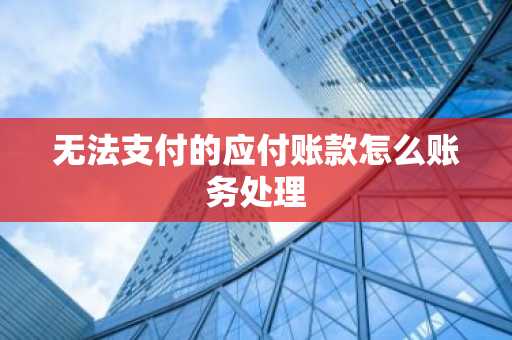 无法支付的应付账款怎么账务处理