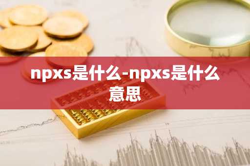 npxs是什么-npxs是什么意思