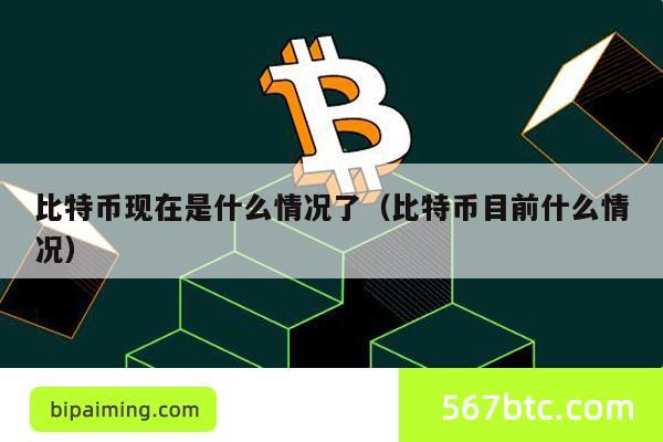 比特币现在是什么情况了（比特币目前什么情况）