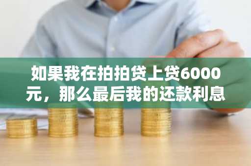 如果我在拍拍贷上贷6000元，那么最后我的还款利息是多少？