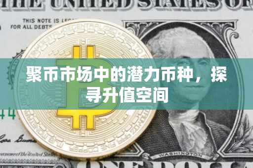 聚币市场中的潜力币种，探寻升值空间