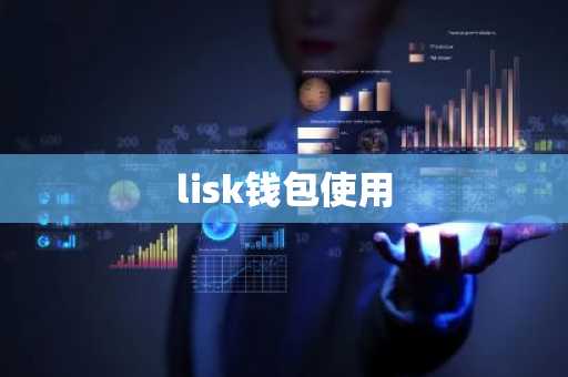lisk钱包使用