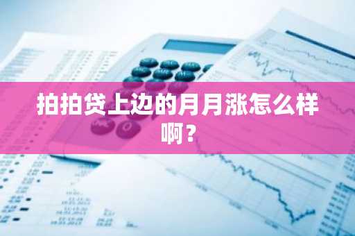 拍拍贷上边的月月涨怎么样啊？