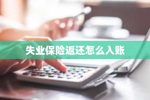 失业保险返还怎么入账