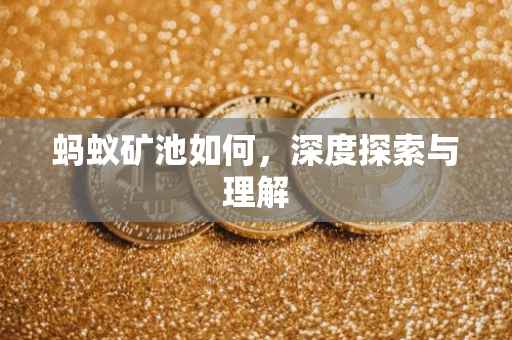 蚂蚁矿池如何，深度探索与理解