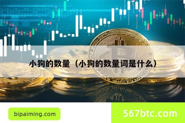 小狗的数量（小狗的数量词是什么）