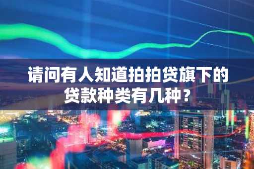 请问有人知道拍拍贷旗下的贷款种类有几种？