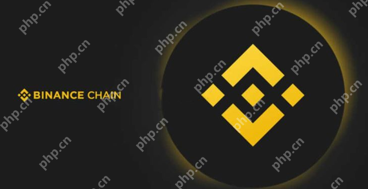 Binance交易所APP安全吗？Binance交易所APP下载官网介绍