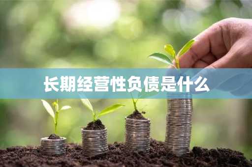 长期经营性负债是什么