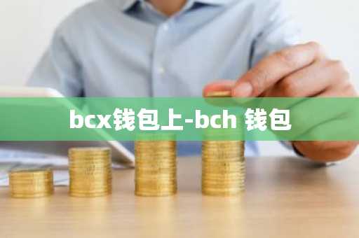 bcx钱包上-bch 钱包