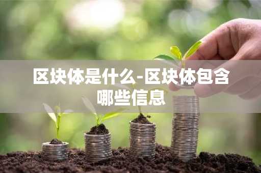 区块体是什么-区块体包含哪些信息