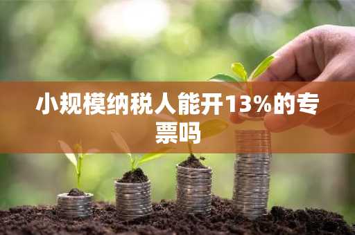 小规模纳税人能开13%的专票吗