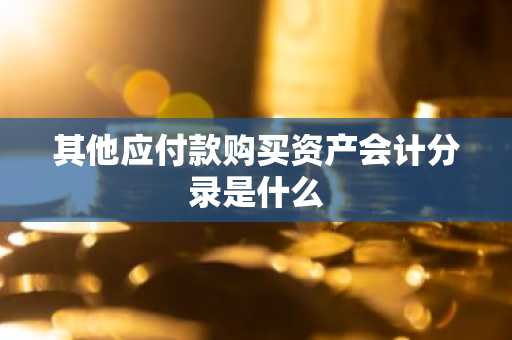 其他应付款购买资产会计分录是什么