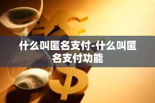什么叫匿名支付-什么叫匿名支付功能