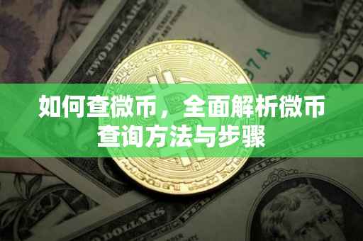 如何查微币，全面解析微币查询方法与步骤