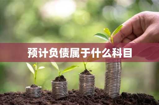 预计负债属于什么科目