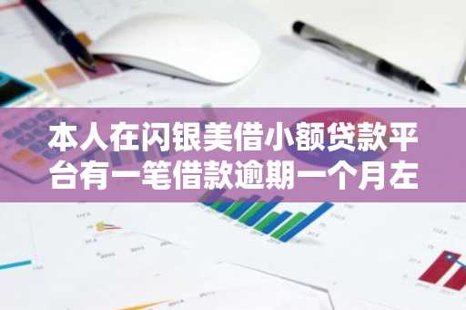 本人在闪银美借小额贷款平台有一笔借款逾期一个月左右，请问会不会被起诉。