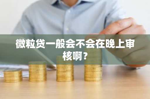 微粒贷一般会不会在晚上审核啊？