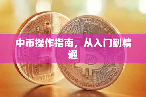中币操作指南，从入门到精通