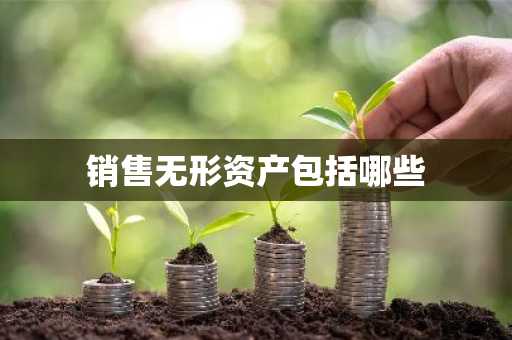 销售无形资产包括哪些