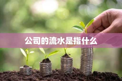 公司的流水是指什么
