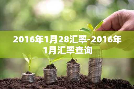 2016年1月28汇率-2016年1月汇率查询