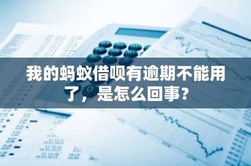 我的蚂蚁借呗有逾期不能用了，是怎么回事？
