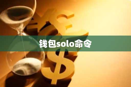 钱包solo命令