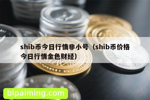 shib币今日行情非小号（shib币价格今日行情金色财经）