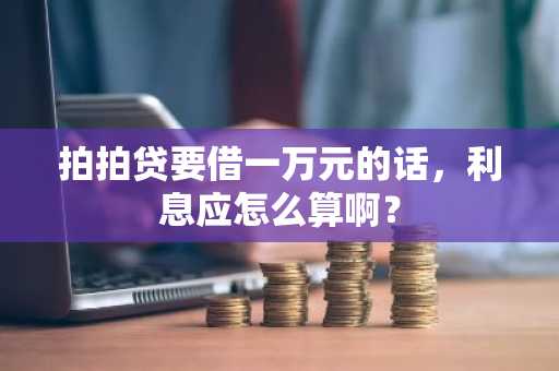 拍拍贷要借一万元的话，利息应怎么算啊？