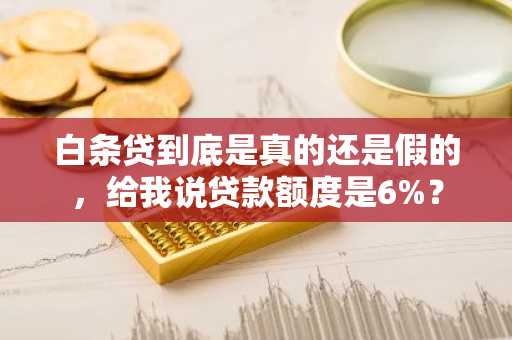 白条贷到底是真的还是假的，给我说贷款额度是6%？